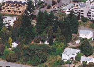 Aerial view of the houses at the time of purchase