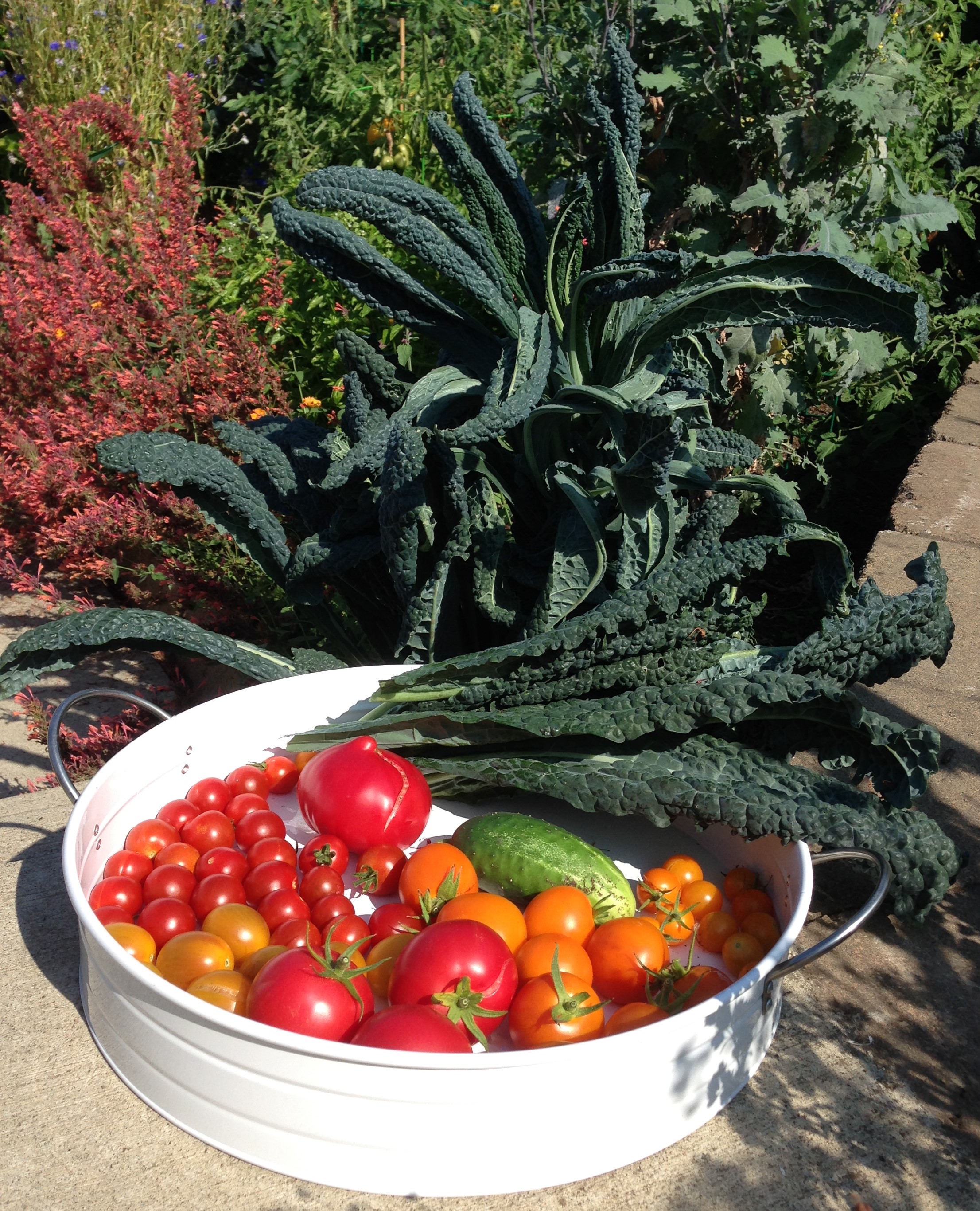 Bounty August 2014 b cropped